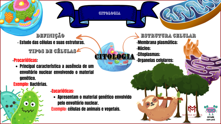 Mapas De Biologia Marina Moura Concursos P Blicos